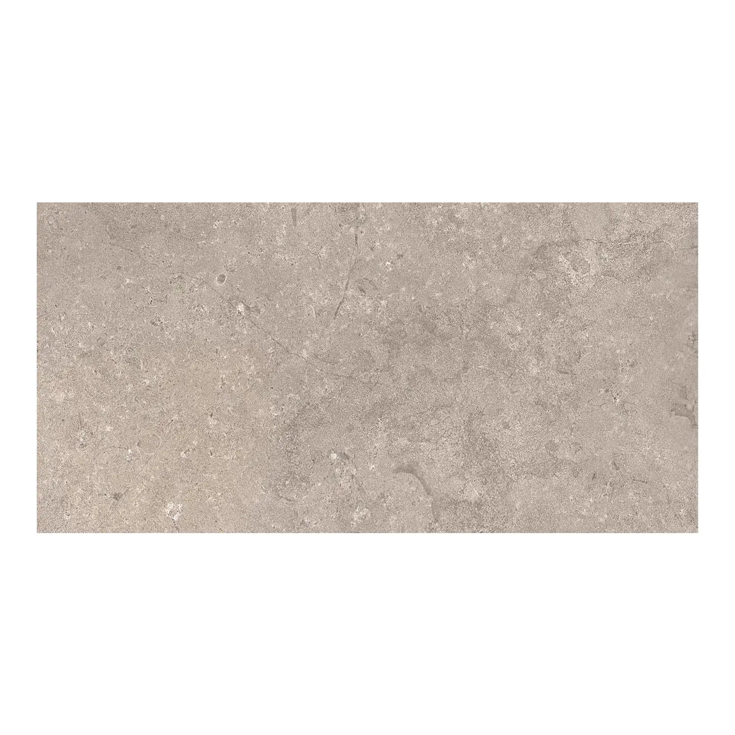 Steinoptik Fliese Portland Rock Taupe 30 x 60 cm