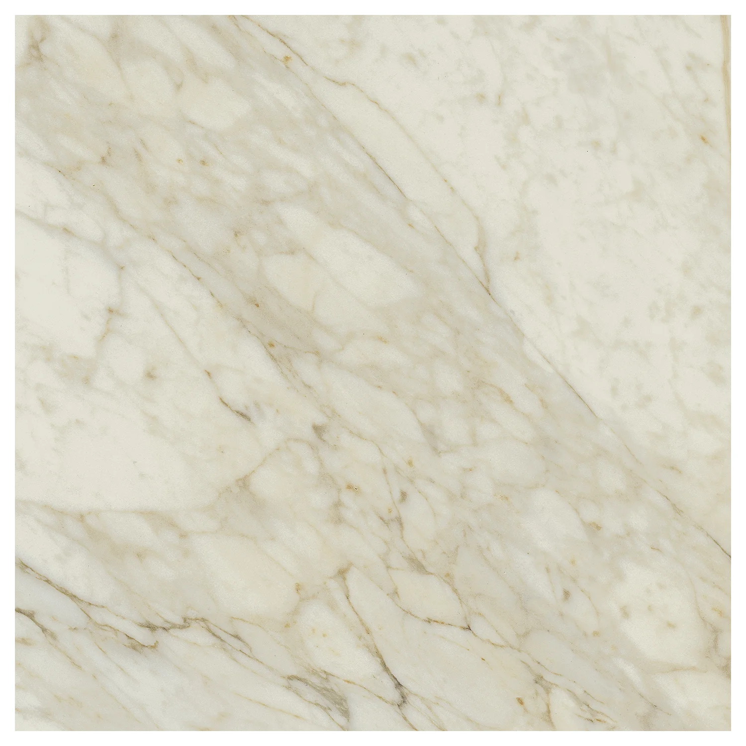 Marmoroptik Fliese Calacatta Dorato 120 x 120 cm