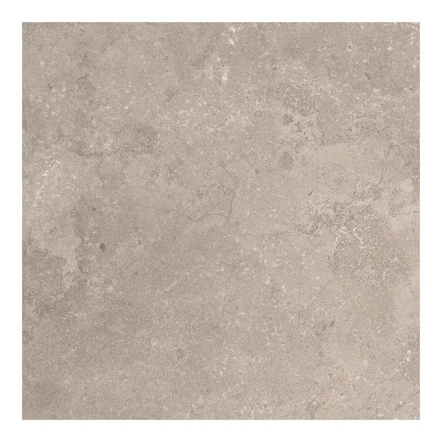 Steinoptik Fliese Portland Rock Taupe 60 x 60 cm