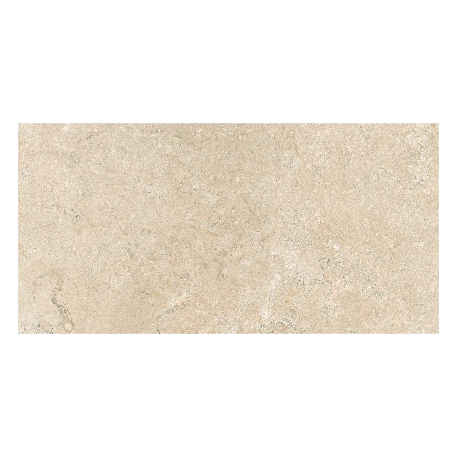 Revigres Limestone Sand 30 x 60 cm Musterfliese