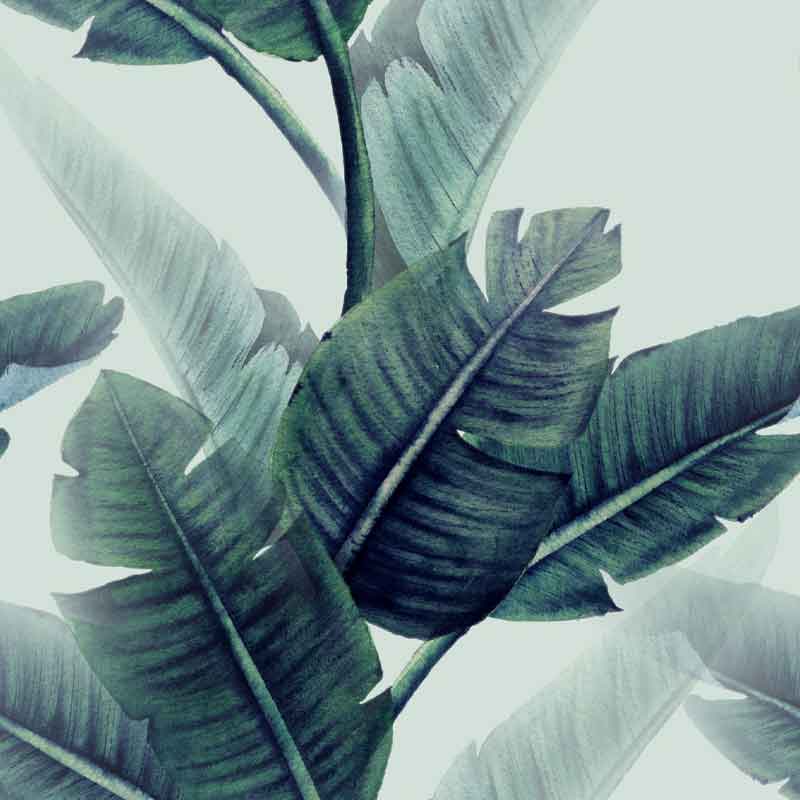 hsk-renodeco-palms-63