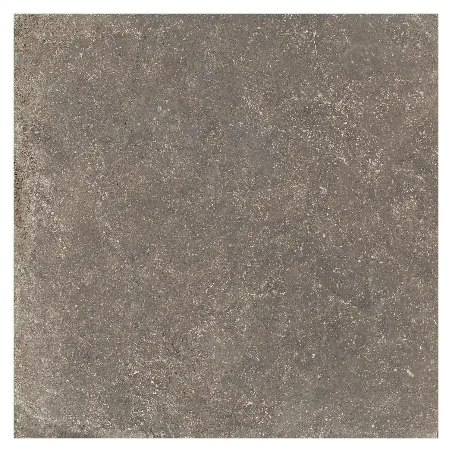 Rustikale Steinoptik Bodenfliese i-stone Taupe R11 80 x 80cm
