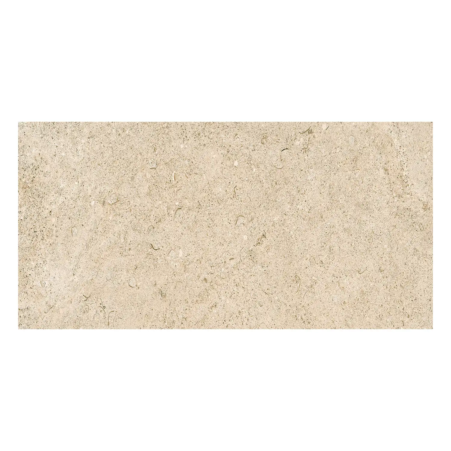 Revigres Limestone Sand 30 x 60 cm Musterfliese