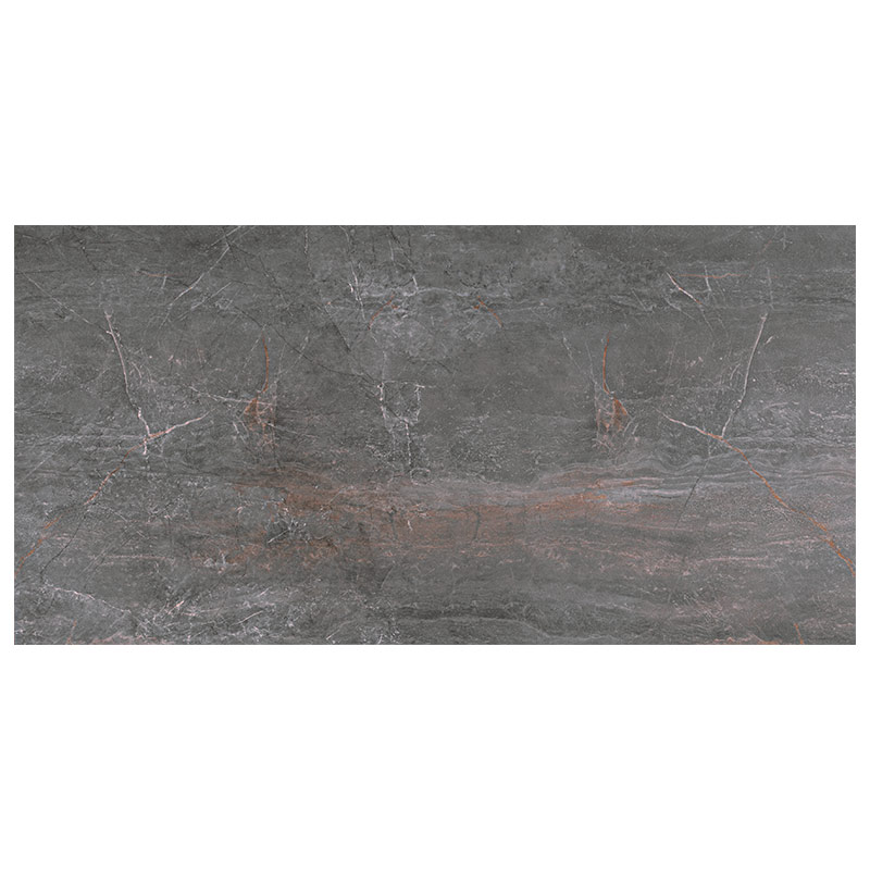 Serenissima Fossil Piombo Lux 60 x 120 cm