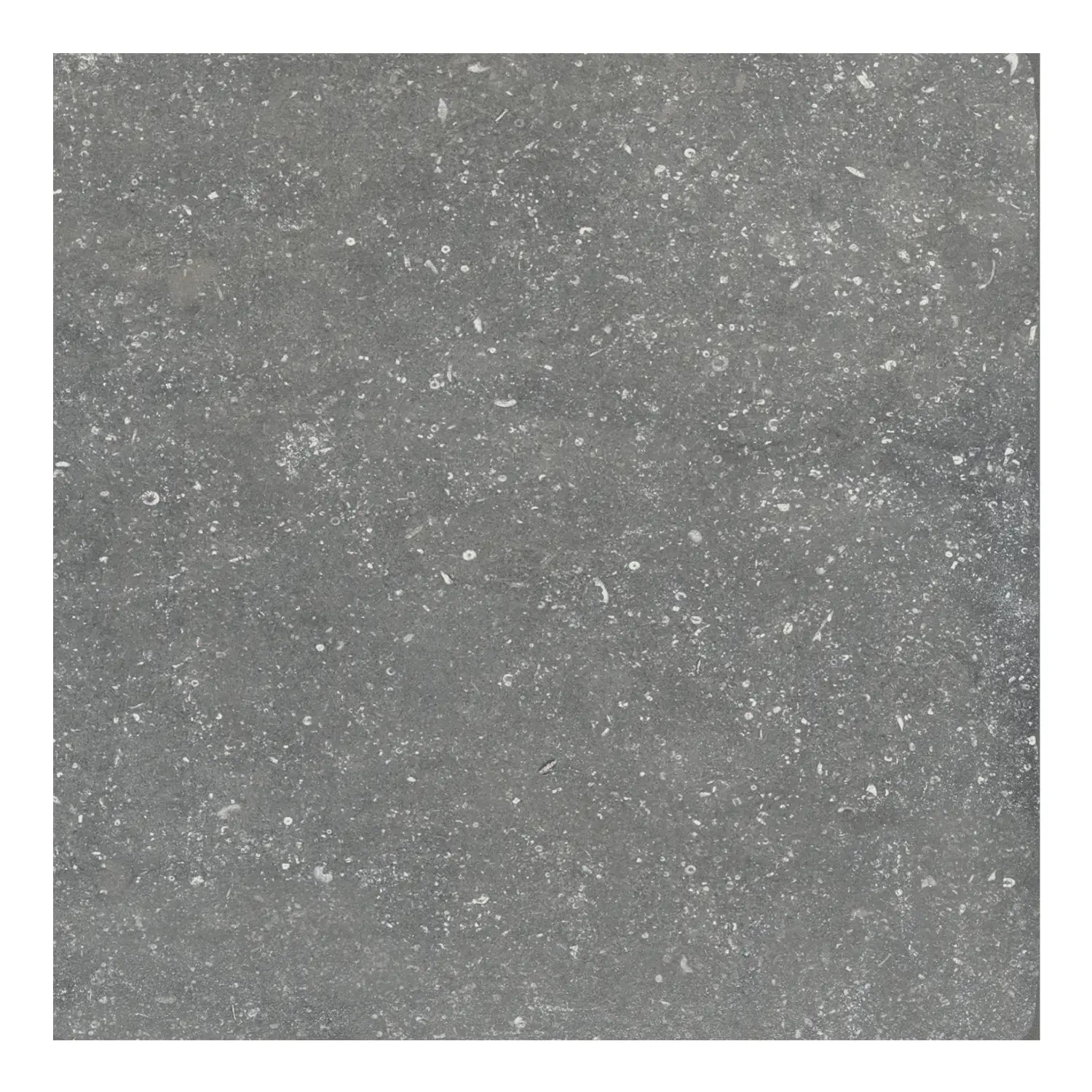Rustikale Steinoptik Fliese Opus Sky R11 40 x 40 cm