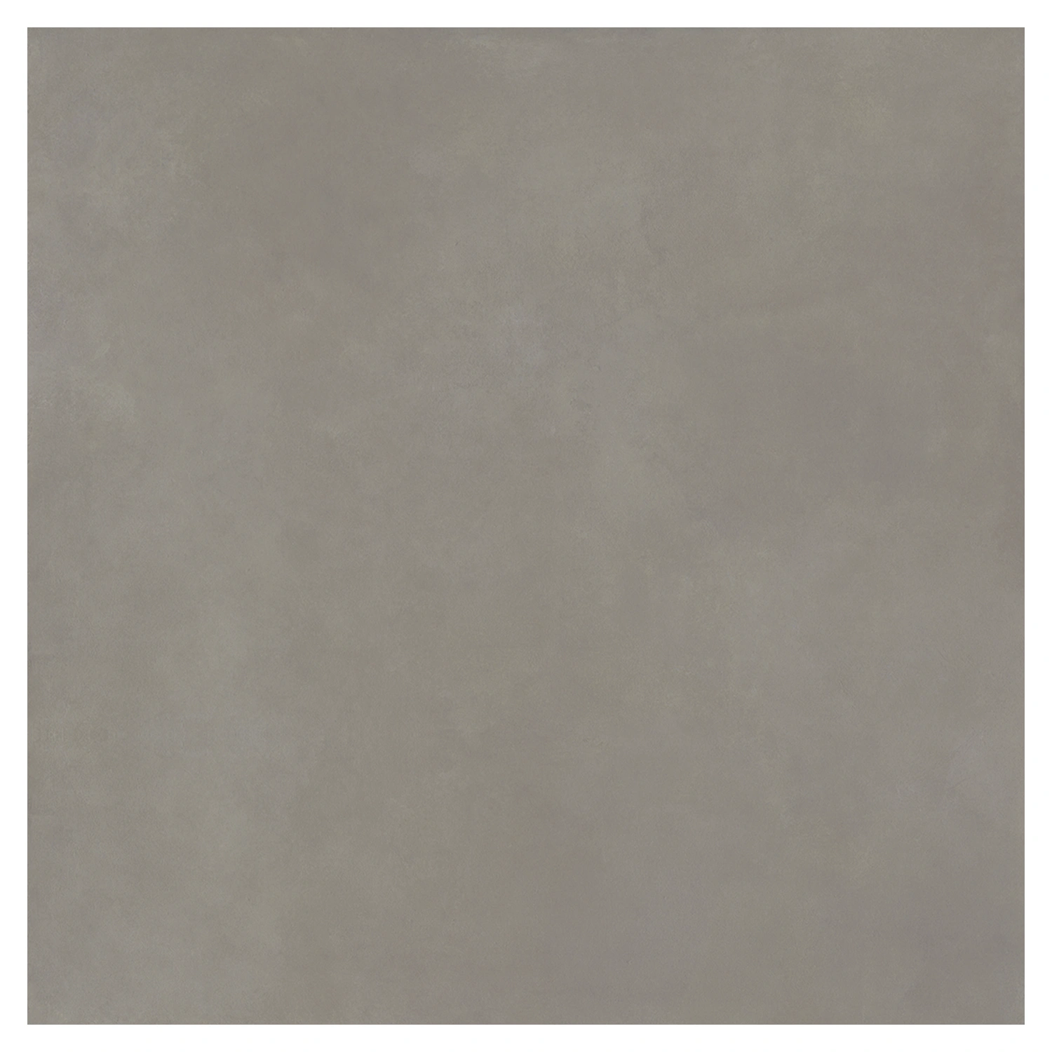 Zementoptik Fliese Infinita Cenere 120 x 120 cm